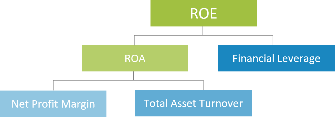 Decomposing ROA and ROE (DuPont)