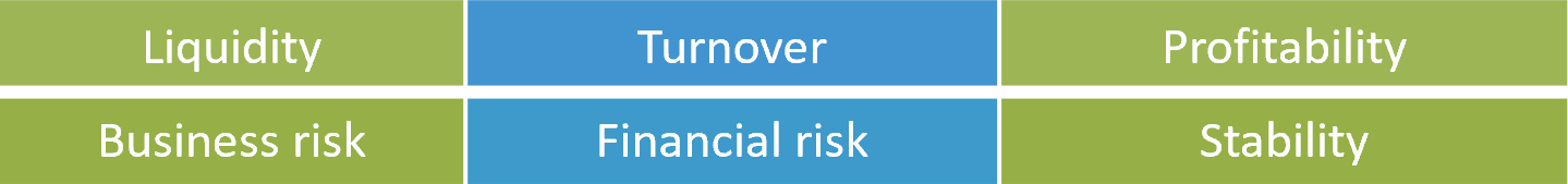 the 6 groups of financial ratios in Invest for Excel